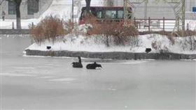 （圖／翻攝自微博）