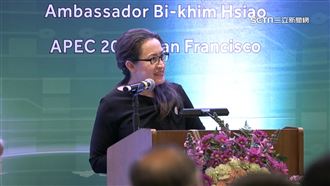 評「賴蕭配」　美人士讚蕭美琴是加分人選