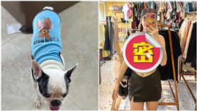 狗狗的衣服主人先試穿？妹子套進「狗裝」露火辣身材　9千人狂讚