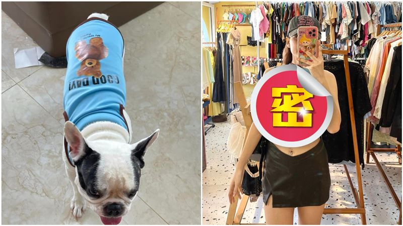 正妹穿「狗裝」竟洩火辣身材！9千人讚翻