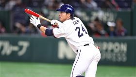 ▲亞冠賽第2戰對澳洲，隊長陳傑憲擔任指定打擊打第3棒。（圖／中華職棒提供）