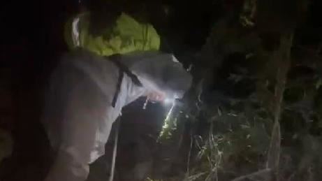 單攻合歡西北峰　2德國登山客受困獲救