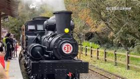 阿里山楓紅了！　季節限定「賞楓列車」12月開跑