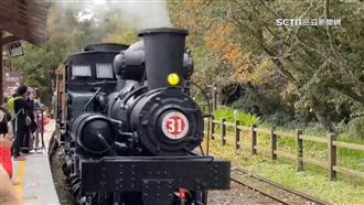 阿里山楓紅了　季節限定賞楓列車12月開跑