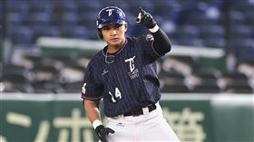 ▲亞冠賽台澳戰，外野手邱智呈靠著傳球失誤上壘。（圖／中華職棒大聯盟提供）