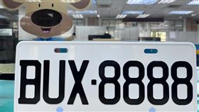 錯過等明年！中壢監理站自用小客貨車「鐵支車牌」11/20開放競標