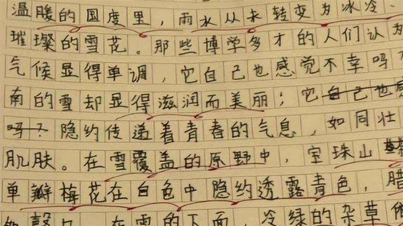 小四學生偷用AI寫作文　老師看完全文笑了