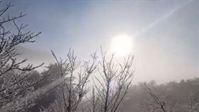 ▲南橫向陽下雪 遊客中心（圖／熊出沒企業社、山友趙聰華提供）