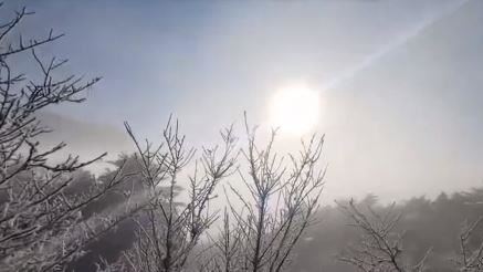 「小雪」3星座財運旺　第一名可能會加薪
