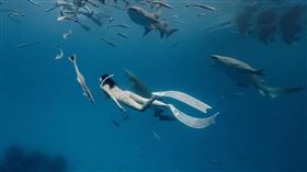 謝侑芯貼出她在潛水與海底生物共游的美景。（圖／翻攝自謝侑芯 IG）