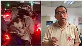 高雄,騎士,哈士奇,虐狗