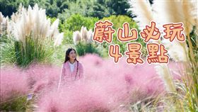 勿用!!!!!!!!!!!!!!玩韓國｜初訪蔚山必拍四大景點：十里竹林、大王岩、東軒與內衙、蔚山大橋觀景台

