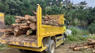 景觀咖啡廳經營不善　竟濫墾國有地當茶園