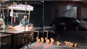 宵夜排隊,tiktok,@shanyi90