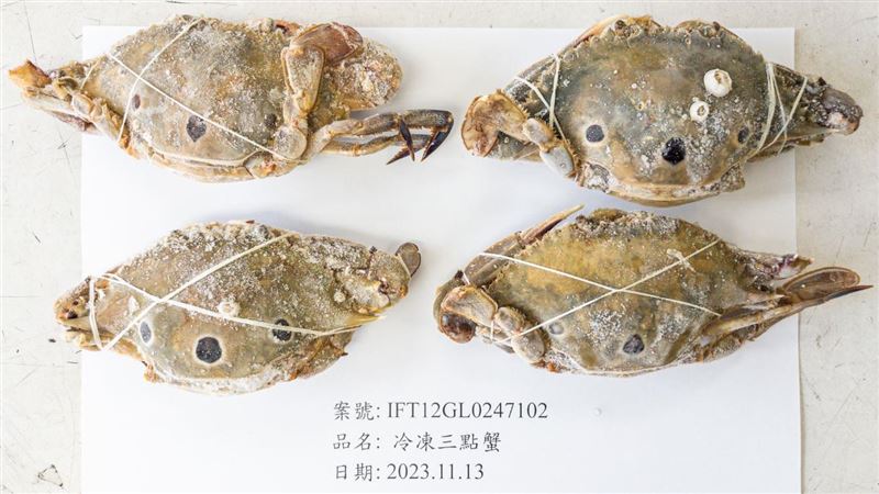 巴基斯坦三點蟹重金屬鎘超標!萬公斤退運