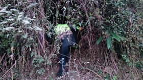 6旬翁獨攀石圍牆山，受困陡峭山壁，警加line，發送位置救人(圖／翻攝畫面)