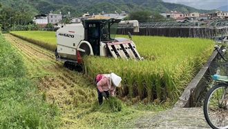 回老家驚見「農地變菜園」收租慘被老農譙