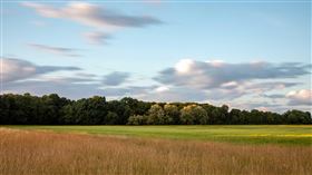 高雄中崙農業區開發重啟 土地價格創新高