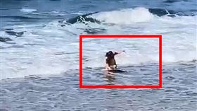 小琉球,美人洞,海龜,30萬,大鵬灣