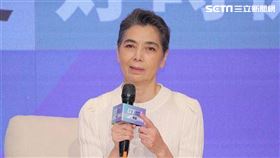 郭台銘副手賴佩霞。（圖／記者楊澍攝影）