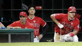 ▲洋基新任板凳教練奧斯馬斯（Brad Ausmus）2019年曾執教大谷翔平。（圖／美聯社／達志影像）