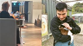 谷阿莫。（圖／翻攝自Dcard）