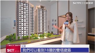 坤悅涵仰雙塔地標太平正核心28年來首推案