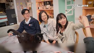 喵星人助選！小英、邁邁、黃捷合體搶曝光