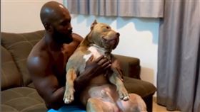 現年40歲的巴西著名「鬥牛犬網紅」菲力克斯（Gideone Félix）。ig