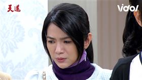 星卉,苗可麗,天道,黃玉榮,黃瑄,林佑星