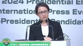 蕭美琴（圖／翻攝自民進黨 臉書）