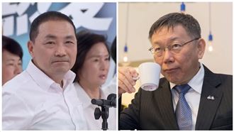 藍向柯粉招手　學者：棄保反有利賴