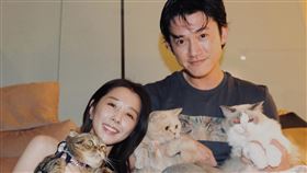 邵雨薇吳慷仁（圖／翻攝自邵雨薇IG）