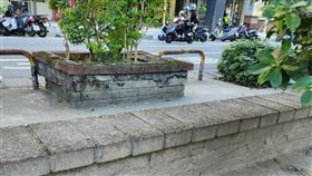 新北,板橋,溪北公園,象棋,將軍,不治,CPR,