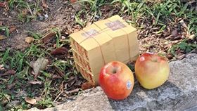 原PO在公園看見冥紙跟蘋果。（圖／翻攝自路上觀察學院）