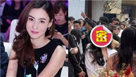 張柏芝,乘風破浪的姐姐,0修圖,謝霆鋒