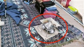 焚火台,尖石,帳篷,取暖,一氧化碳（圖／翻攝畫面）