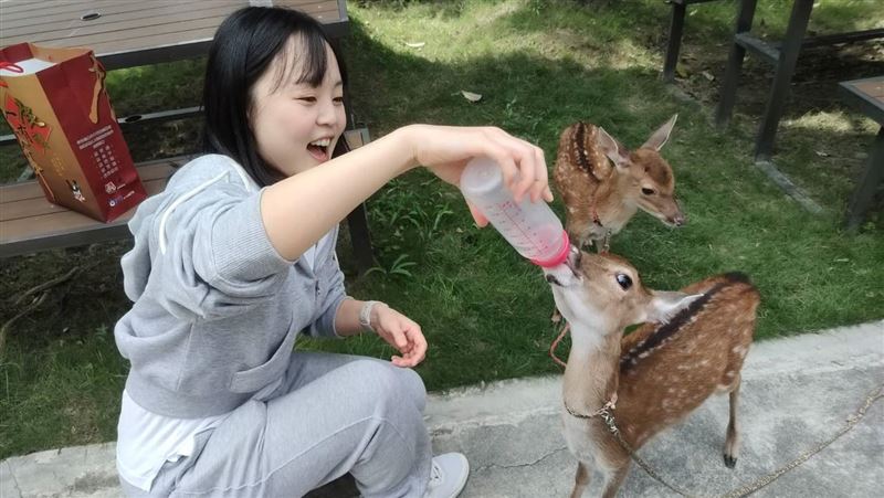 網紅英玹帶男友逛鹿場　找貴族食材補身！