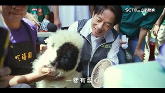 選個和你一樣好的人！賴蕭配競選影片曝光