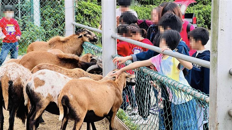 動物們再見！台開心農場12／15暫停營業