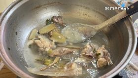 V河豚哪裡來1200