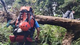 山難,霧台鄉,霧頭山,法國人,迷路