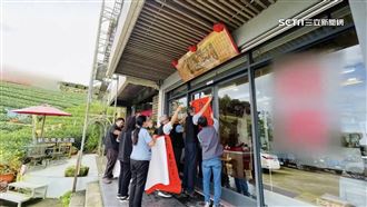 獨／獲獎茶葉身價3級跳　拍賣1斤上看百萬