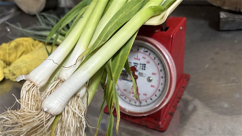 蔬果農藥殘留19件超標！賣場、超市均上榜