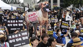 韓國要立法禁賣狗肉　狗肉協會抗議：考慮放生200萬隻到農林部長家門（圖／美聯社／達志影像）