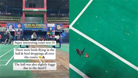 有選手爆料超級300系列印度公開賽的場館裡都是鳥屎。（圖／翻攝自IG）