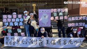 台北市議員應曉薇帶著Micky及妞妞的飼主到台北地檢署抗議。（圖／記者楊忠翰攝影）