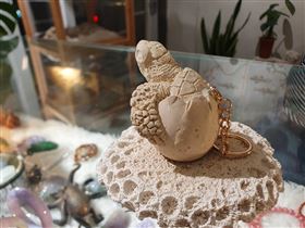 澎湖主題特色遊程來了！「好澎遊Chill嗨嗨」品味菊島之美（業配勿用）