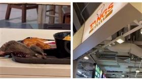 新加坡百貨美食街「米老鼠加料」 餐桌驚見垂死老鼠