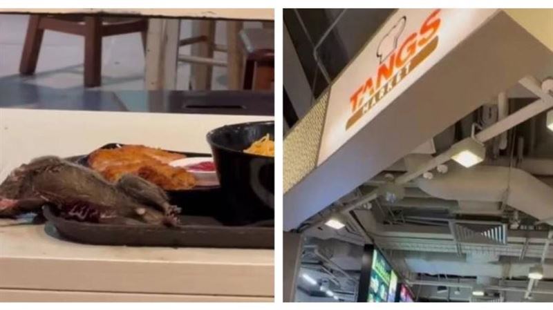 百貨美食街米奇加料　餐桌驚見垂死老鼠